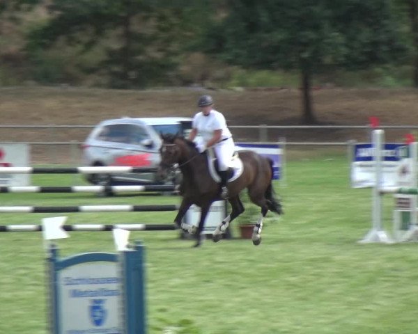 Reitturnier Gardelegen 2018
