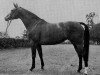 broodmare La Jana (Hanoverian, 1972, from Lions xx)