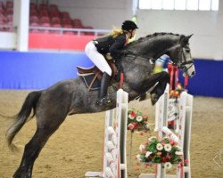 jumper Lord Ferdi (Zangersheide riding horse, 2010, from Lord Pezi)