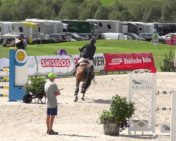 Concours Hippique Zuoz 2018