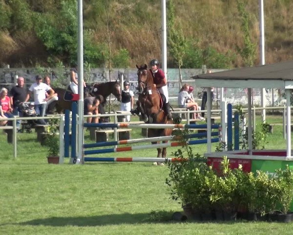 Reitturnier Gardelegen 2018