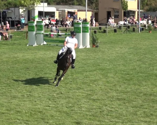 Reitturnier Gardelegen 2018