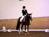 dressage horse Grammemühle's Donna Pinea (German Riding Pony, 2009, from Prince Charming 17)