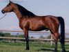 stallion Nile Prince EAO (Arabian thoroughbred, 1987, from Kasr El Nil 1971 EAO)