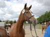 broodmare Whisper (Mecklenburg, 2008, from World Pleasure)