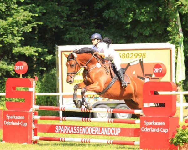 broodmare Connara 2 (German Sport Horse, 2006, from Calido I)