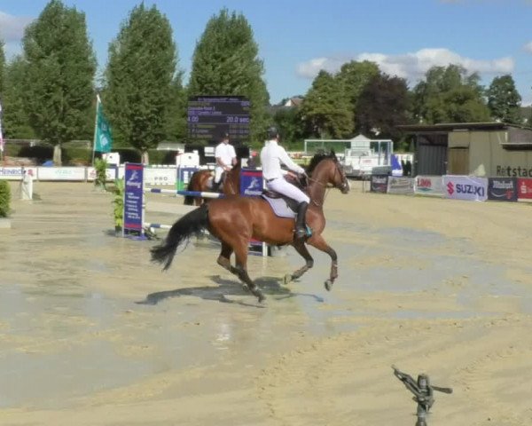 Reitturnier Oberderdingen 2018