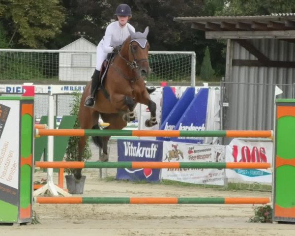 Reitturnier Oberderdingen 2018