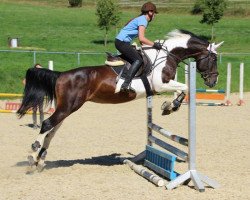 broodmare Reda (polish noble half-breed, 2004, from Kamrat)