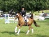 dressage horse Elaine 34 (Trakehner, 2007, from Kaiserdom)