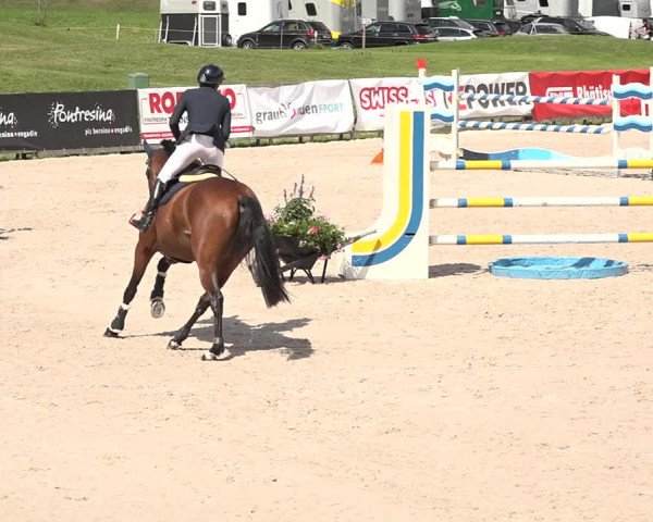 Concours Hippique Zuoz 2018