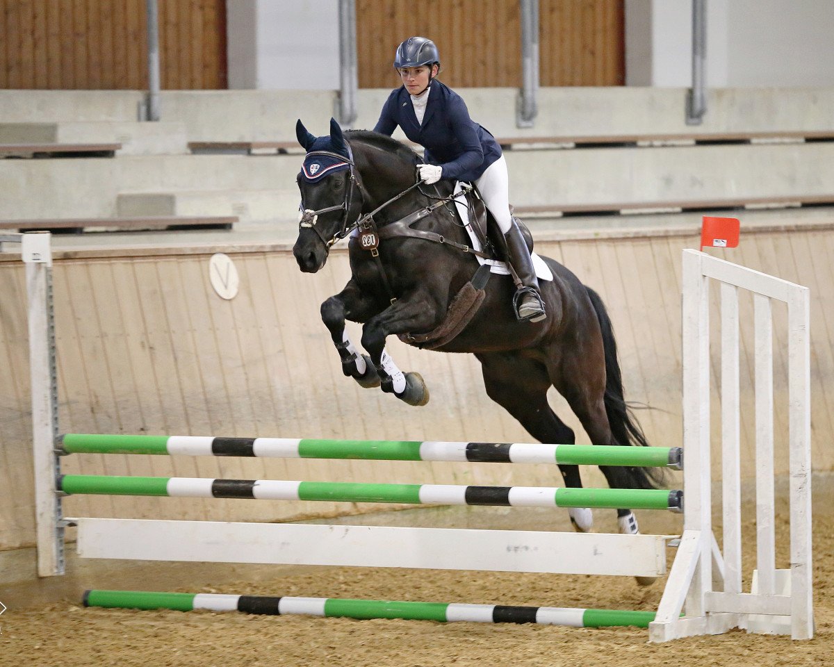 jumper Check Up 3 (Bavarian, 2003, from Caretello B)