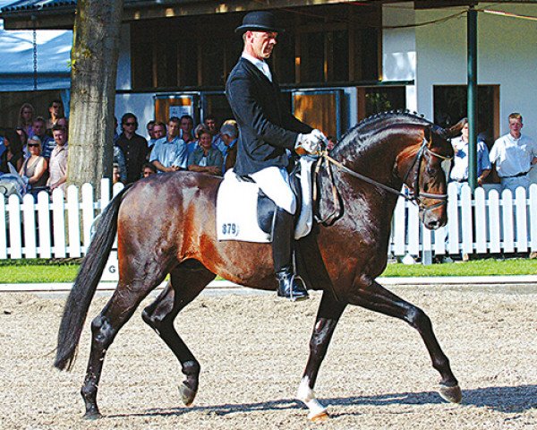 stallion Sir Donnerhall I (Oldenburg, 2001, from Sandro Hit)