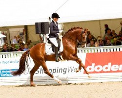 dressage horse Dr. Steelhammer (Hanoverian, 2014, from Dr. Watson)