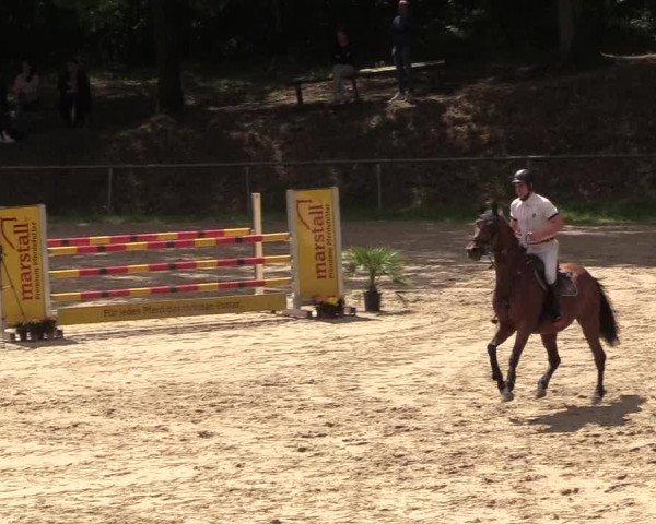 Reitturnier Neunkirchen-Salchendorf 2018