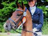 dressage horse Lemony's Loverboy (Hanoverian, 2013, from Lemony's Nicket)