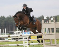 jumper Constantin 105 (German Sport Horse, 2011, from Criffindor)