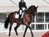 dressage horse Revanche 83 (Holsteiner, 2002, from Ramirado)