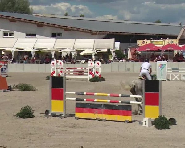 Reitturnier Grafenrheinfeld 2018