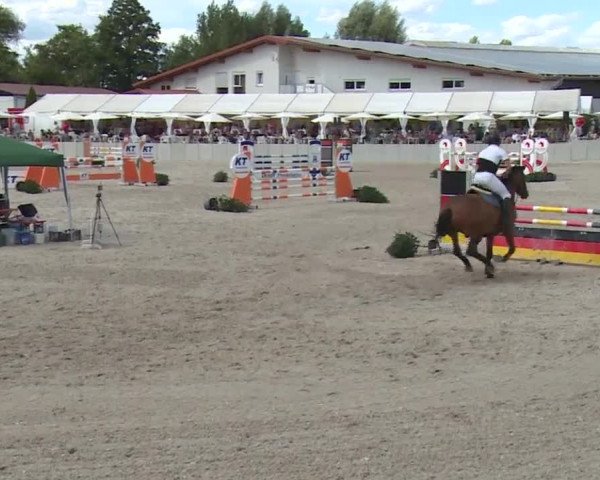 Reitturnier Grafenrheinfeld 2018