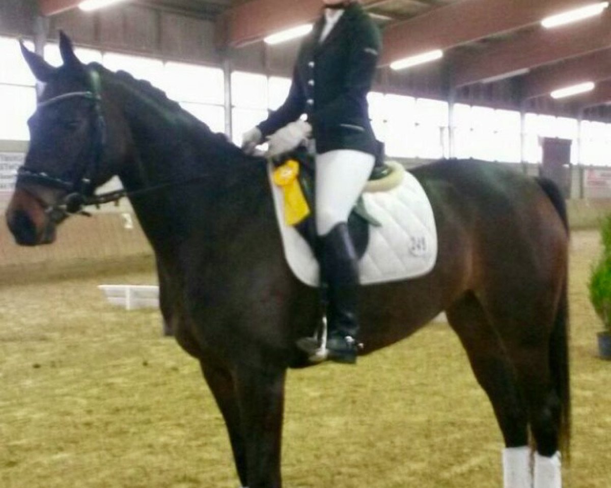 broodmare Takara 3 (Oldenburg, 2010, from Fidertanz)