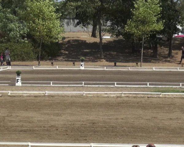 Reitturnier Gardelegen 2018