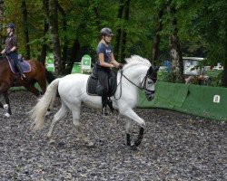 dressage horse Yuntero X (Pura Raza Espanola (PRE), 2005, from Zagal XXI)