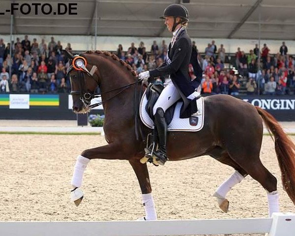 dressage horse Sultan des Paluds FRH (Hanoverian, 2010, from Soliman)
