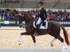 dressage horse Sultan des Paluds FRH (Hanoverian, 2010, from Soliman)