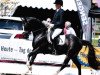 stallion GAW Very Best WE (German Riding Pony, 2014, from Valido's Highlight)