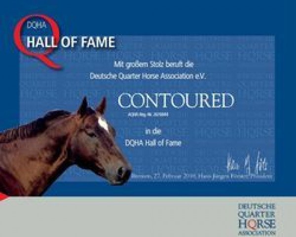 stallion Contoured (Quarter Horse, 1988, from No Heirror)