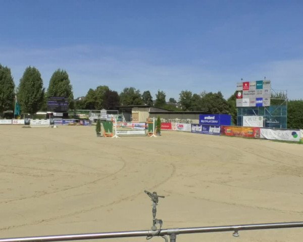 Reitturnier Oberderdingen 2018