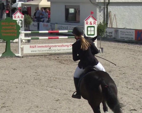 Reitturnier Grafenrheinfeld 2018