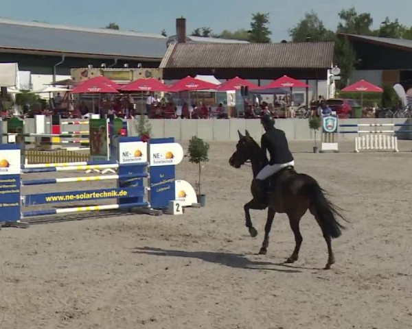Reitturnier Grafenrheinfeld 2018