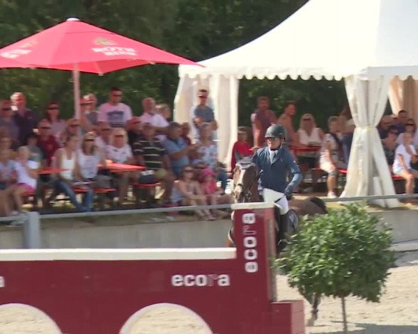 Reitturnier Grafenrheinfeld 2018