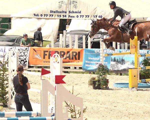 Concours Hippique Zuoz 2018