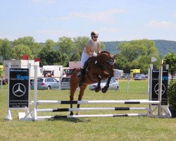 dressage horse Oberried's Poseidon (unknown, 2018)