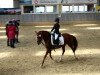 dressage horse Princessin 9 (German Riding Pony, 2006, from Kooihuster Wessel)