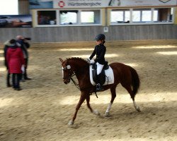 dressage horse Princessin 9 (German Riding Pony, 2006, from Kooihuster Wessel)