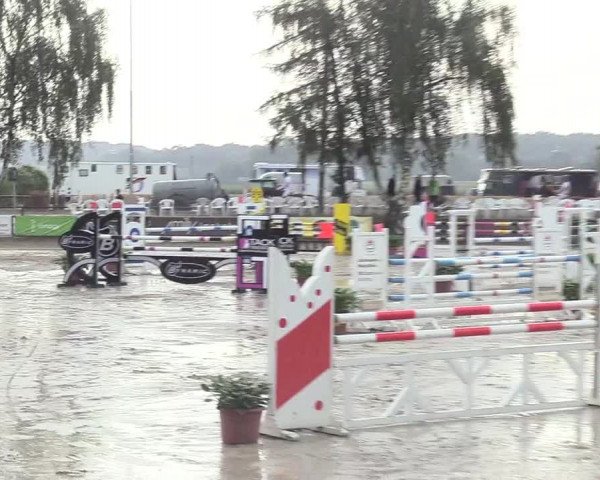 Waltroper Reitertage 2018