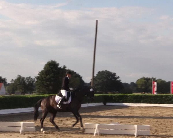 Reitturnier Gehlenbeck-Eilhausen 2018