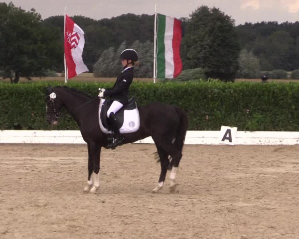 Reitturnier Gehlenbeck-Eilhausen 2018