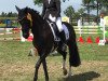 dressage horse Fraya 16 (German Riding Pony, 2008, from For Play)