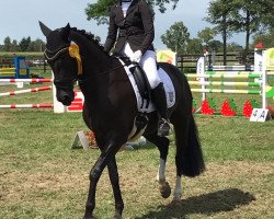 dressage horse Fraya 16 (German Riding Pony, 2008, from For Play)