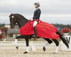 dressage horse Kartsevo Goldfinch (KWPN (Royal Dutch Sporthorse), 2011, from Jazz)