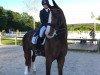 dressage horse Fendi T (KWPN (Royal Dutch Sporthorse), 2010, from Negro)