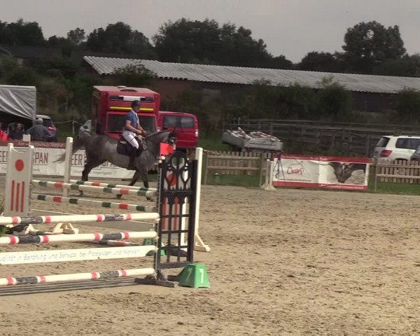 Reitturnier Schülp / Rendsburg 2018