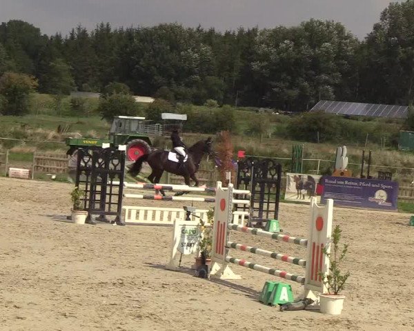 Reitturnier Schülp / Rendsburg 2018