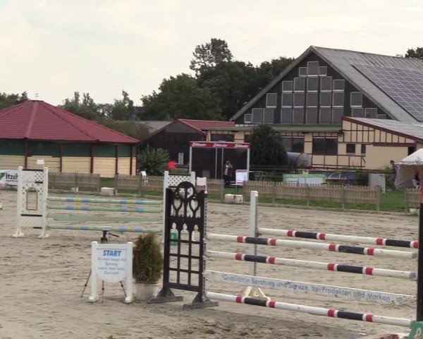 Reitturnier Schülp / Rendsburg 2018