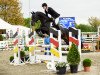 stallion Dust Devil 2 (Oldenburg show jumper, 2011, from Diarado)